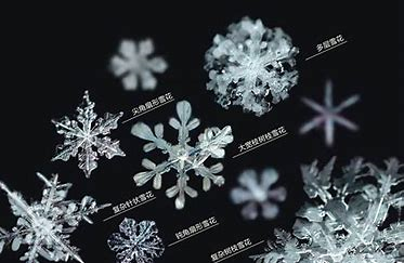 液态金属，再登《Science》：把液态金属玩出花！