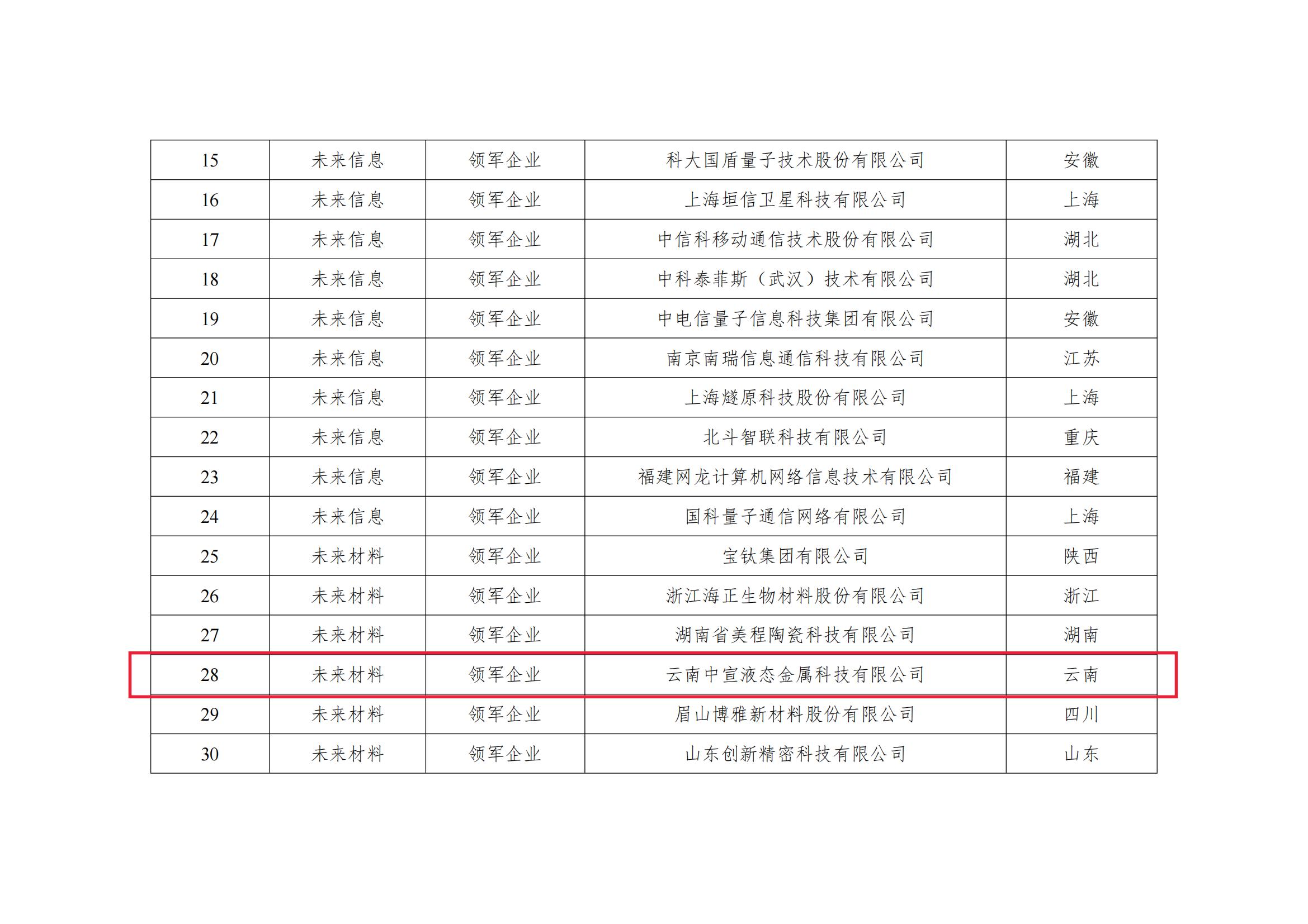 喜讯｜中宣液态入选工信部2024年未来材料领军企业名单！